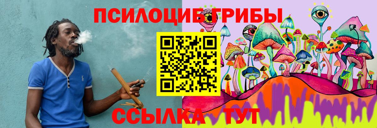 Псилоцибиновые грибы Cubensis Нововоронеж