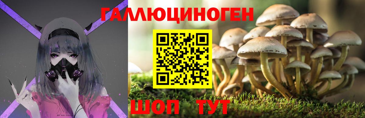 Галлюциногенные грибы Psilocybe  Галлюциногенные грибы прущие грибы  Вход с VPN  даркнет сайт  Нововоронеж 